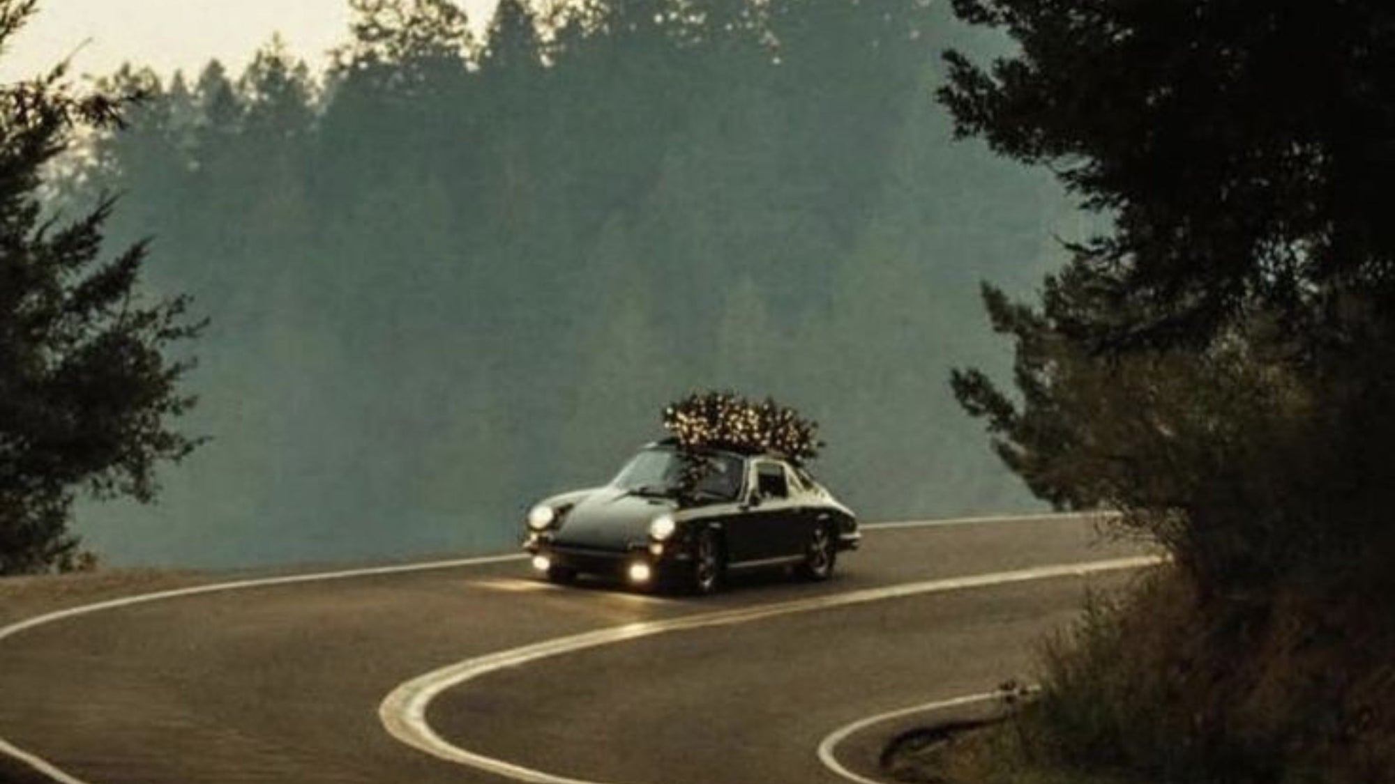 Our Holiday Reading Guide '24
